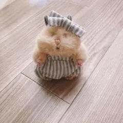 ぬい服 デニム風 サロペット はむにぎり - メルカリ