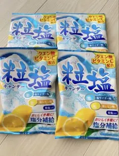 粒塩キャンデー　48g×4袋　熱中症予防　クエン酸　ビタミンC 飴　塩分補給のサムネイル