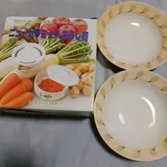 ニューセラミック　おろし器　&　中鉢　カレー皿