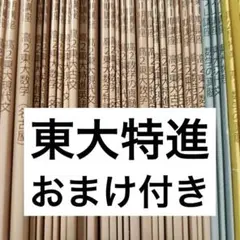 2025年最新】東大特進 物理の人気アイテム - メルカリ