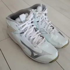 MIZUNO 限定ウエーブダイバーズ 22.5センチ