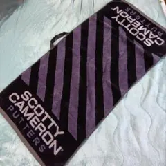 Item thumbnail for item 6c98453e-d1c8-44f7-9f91-2d69a7b7f087