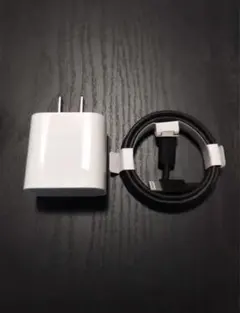 新品iPhone タイプC ライトニング 黒　1本 1m 急速 充電器 2.4A