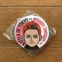 THE RAMPAGE 龍 BATTLE OF TOKYO マグネット