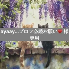 ayaay…プロフ必読お願い♥様　専用