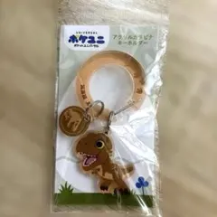 【新品未使用】ポケユニ アクリルカラビナキーホルダー T-REX