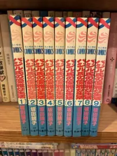 日出処の天子 1-11巻セット 山岸凉子 白泉社 ひいずるところのてんし