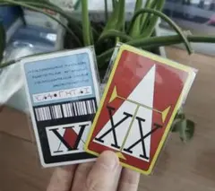 最安値　ハンターハンター　ライセンスカード2枚