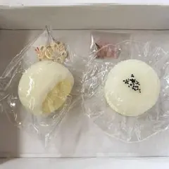 豆豆　dodo studio 我一定会爆単的　ねっとりお餅系セット