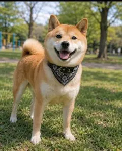 XXL ブラック 犬用首輪 バンダナ付き 散歩 わんちゃん 首元 おしゃれ 黒色