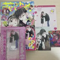花とゆめ 2004年1～24　24冊 まとめ売り 花とゆめ 2004年24号 中条比紗也 樋口橘 山田南平 仲村佳樹 日高万里