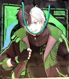2026年最新】WINDBREAkER ドンキの人気アイテム - メルカリ