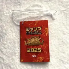 ジャンプ ビクトリーパスポート ビクトリーカーニバル 2025