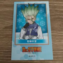 Dr.STONE オンラインくじ 読書の秋編 缶バッジ 石神千空 - メルカリ