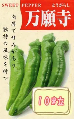 次回の発送 4月17日( ^^; )様 リクエスト 8点 まとめ商品