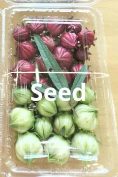 きん様 リクエスト 2点 まとめ商品