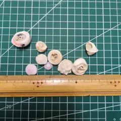 最終値下げ！貝殻の上部または下部のみ　貝殻 9個セット クラフト素材