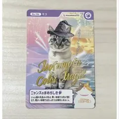 豆猫 ニャンズカード 13枚セット 終了しました】ニャンズカードキャンペーン inカインズにゃん