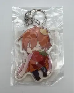 新品未使用！すとぷり アクキー ジェル 2022 Summer