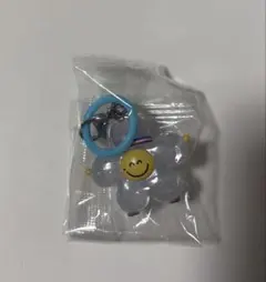 TRUZ めじるしアクセサリー ROMY ジフン