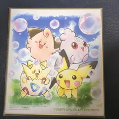 ポケモン 色紙 HIBANNY & PIKACHU - メルカリ