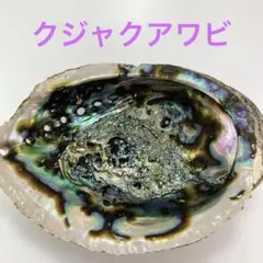 カメオペイヤ様 リクエスト 2点 まとめ商品