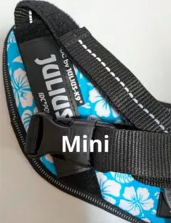 Item thumbnail for item 518c536b-1ab0-4318-a68a-5f41c2b48d3b