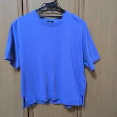 PLST 半袖 Tシャツ ブルー Sサイズのサムネイル
