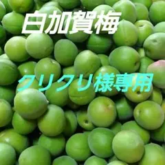 白加賀梅 、A２L・２㎏、クリクリ様専用