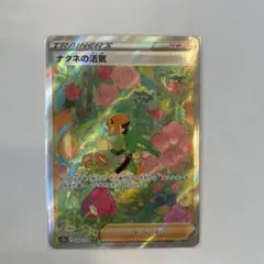 2025年最新】ナタネの活気 sarの人気アイテム - メルカリ