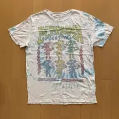 Lollapalooza ロラパルーザ 2025 Tシャツ Lサイズ - メルカリ