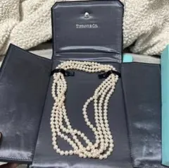 Item thumbnail for item e80914e9-8a73-4cee-83a3-a77098bd017e