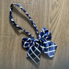 Item thumbnail for item 19f126da-929a-4522-9413-9c793cad97f0