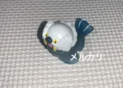 ポケモンキッズ　トドゼルガ　クリア