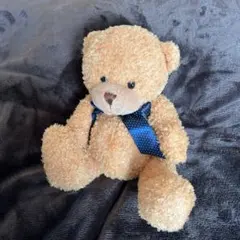 高さ20㎝　テディベア　くまぬいぐるみ　茶