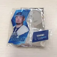 横浜DeNAベイスターズ BlueMates アクリルスタンド 戸柱恭孝