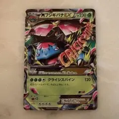 2026年最新】Mフシギバナexの人気アイテム - メルカリ