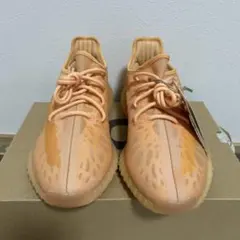 adidas YEEZY BOOST 350 V2 "Mono Clay"のサムネイル