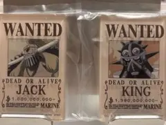 一番くじ ワンピース EX 悪魔を宿す者達 vol.3 G賞　キング　ジャック