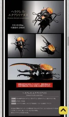 ⚫︎いきもの大図鑑アドバンス ヘラクレスエクアトリアヌス オンライン版