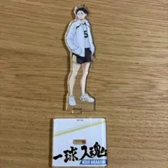 2026年最新】梟谷 ジャージの人気アイテム - メルカリ