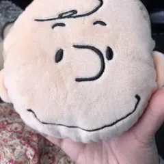 SNOOPY スヌーピー チャーリー・ブラウン ぬいぐるみパスケース
