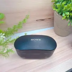 SONY WF-1000XM4 ワイヤレスイヤホンケース 純正品