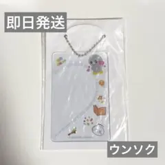 フォトカードスリーブ ウンソク