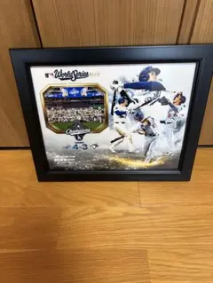 スノーボード　日本代表　清水さら 直筆サイン入りフォト 証明書付き スノーボード 日本代表 清水さら 直筆サイン入りフォト 証明書付き
