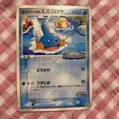 ポケパークのミズゴロウ PROMO PCG-Pプロモカード 048/PCG-P - メルカリ