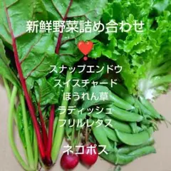 【兵庫県産】新鮮野菜詰め合わせ　野菜セット　スイスチャードとスナップエンドウほか