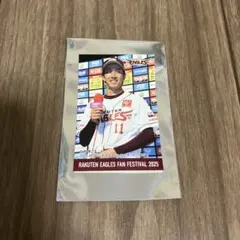 ★匿名配送★ 楽天イーグルス ファン感限定 ステッカー 岸孝之選手