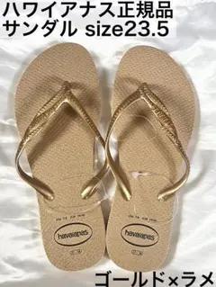 Item thumbnail for item 10e9d204-ff73-4df4-9ec5-48e561e992ae