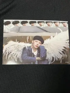 &TEAM ニコラス フォトシート NICHOLAS